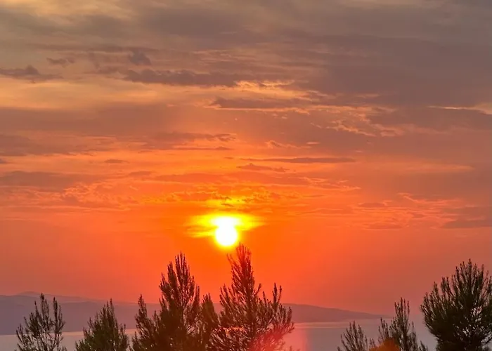 Marko Forever Vila *