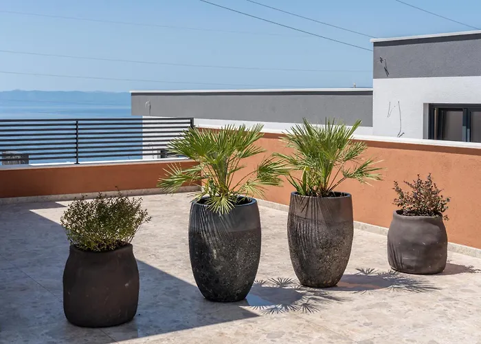 Vila Marko Forever *